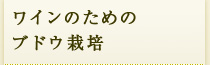 ワインのためのブドウ栽培