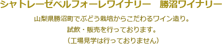 シャトレーゼ勝沼ワイナリー。山梨県勝沼町でぶどう栽培からこだわるワイン造り。試飲・販売を行っております。（工場見学は行っておりません）